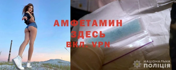 прущие грибы Зеленокумск