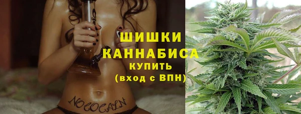 прущие грибы Зеленокумск